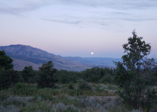 A serene landscape featuring mountains and trees under a soft twilight sky with a full moon rising.