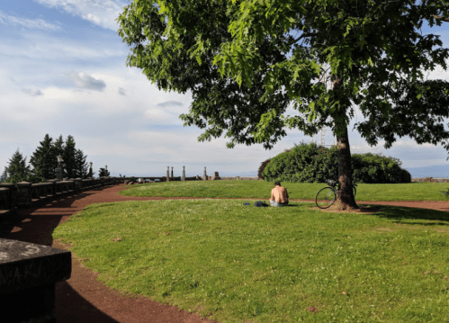 A person sits on grass under a tree, with a bike nearby, overlooking a scenic view of the sky and distant trees.
