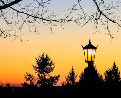 Silhouette of a lamp post against a vibrant sunset with trees and branches in the foreground.