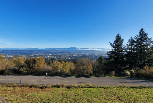 A panoramic view of a valley with trees in the foreground and mountains in the distance under a clear blue sky.