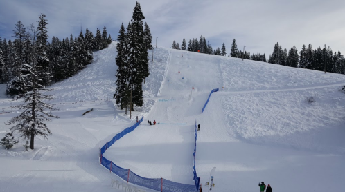 A snowy hill with skiers and snowboarders, surrounded by tall evergreen trees and a blue safety fence.
