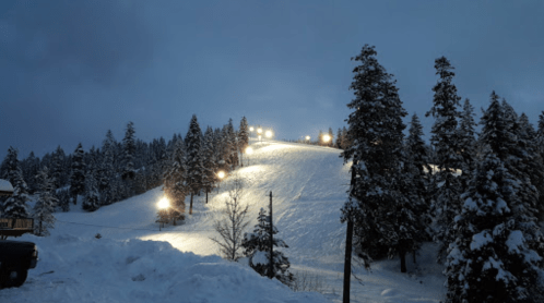 A snowy ski slope illuminated by lights, surrounded by tall evergreen trees under a twilight sky.