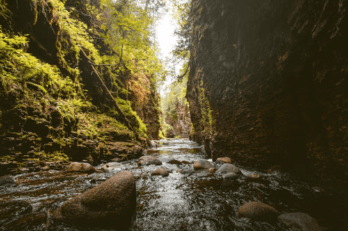 A serene river flows through a narrow canyon, surrounded by lush greenery and rocky cliffs.