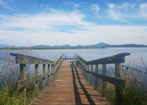 A wooden dock extends into a calm lake, surrounded by lush greenery and distant mountains under a blue sky.