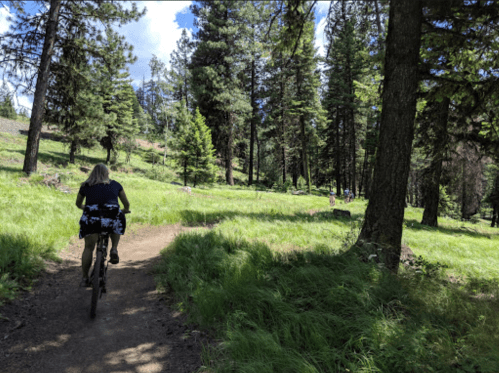 A person rides a bike on a dirt path through a lush green forest with tall trees and sunlight filtering through.