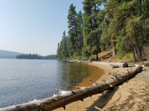 A serene lakeside scene with a sandy beach, tall trees, and a person walking along the water's edge.