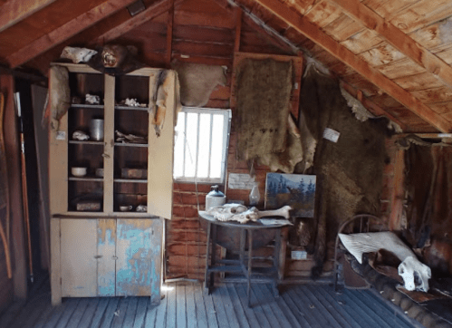 Interior of a rustic cabin featuring a wooden cabinet, table with bones, and animal hides on the walls.
