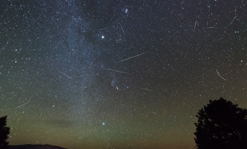 A starry night sky filled with numerous shooting stars and a faint Milky Way, framed by silhouettes of trees.