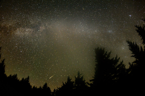 A starry night sky with a faint Milky Way and a shooting star, framed by dark silhouettes of trees.
