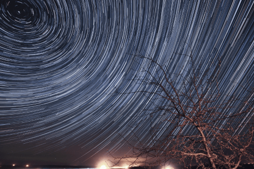 A night sky with star trails creating circular patterns, featuring a silhouetted tree in the foreground.
