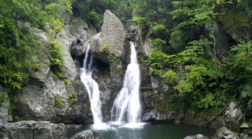 A serene waterfall cascades between rocky cliffs, surrounded by lush green trees and a tranquil pool below.