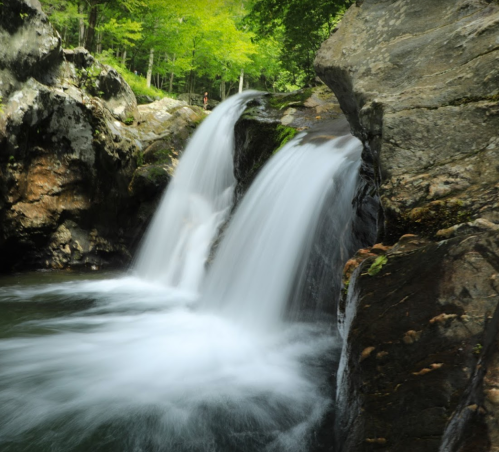 A serene waterfall cascades over rocks into a clear pool, surrounded by lush green trees and natural scenery.