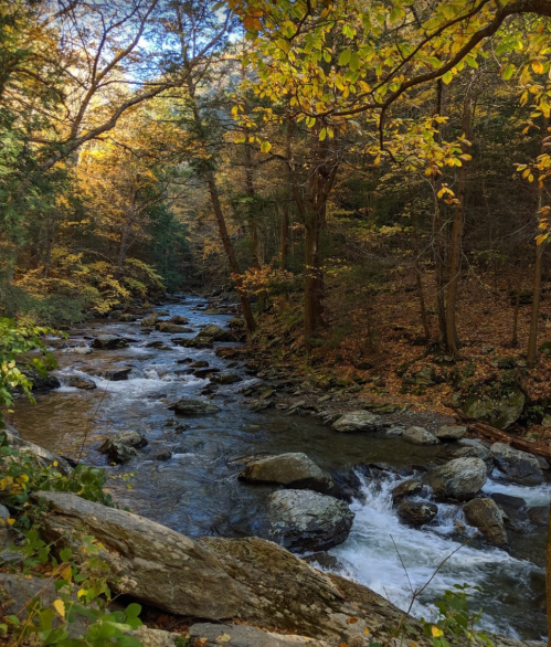 A serene river flows through a forest with autumn leaves, surrounded by rocks and vibrant fall colors.