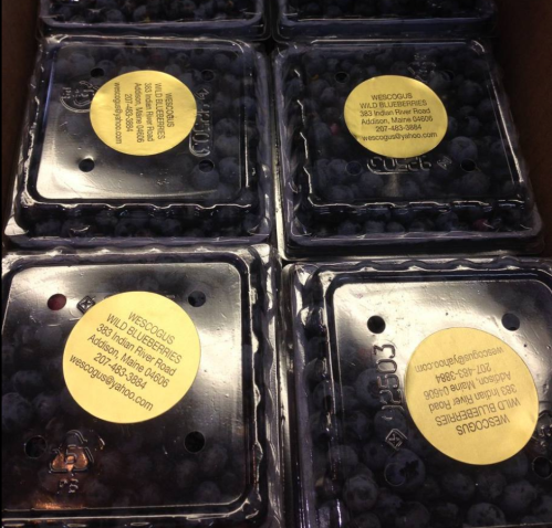 Six containers of wild blueberries with labels displaying contact information and a logo.