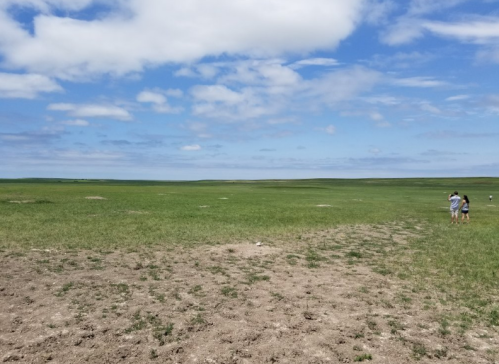A wide, open grassy landscape under a blue sky with scattered clouds, featuring two people walking in the distance.