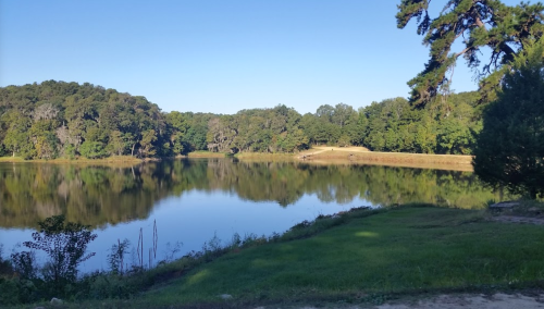 A serene lake surrounded by lush greenery and trees, reflecting the clear blue sky.