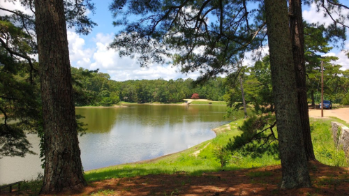A serene lake surrounded by trees under a blue sky with fluffy clouds, reflecting nature's tranquility.
