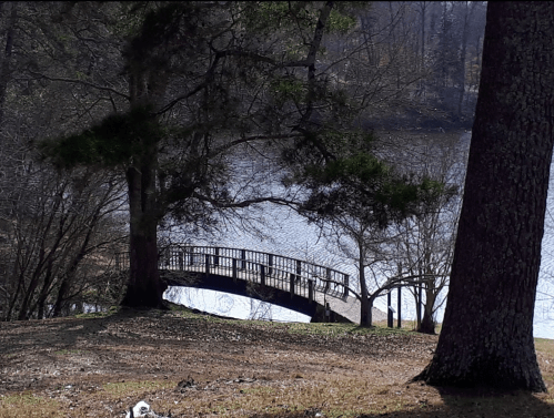 A serene landscape featuring a wooden bridge over a calm lake, surrounded by trees and grassy areas.