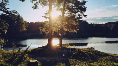 Sunlight filters through trees by a tranquil lake, casting reflections on the water's surface at sunset.