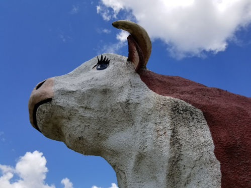 A large, painted cow statue with eyelashes against a blue sky and fluffy clouds.