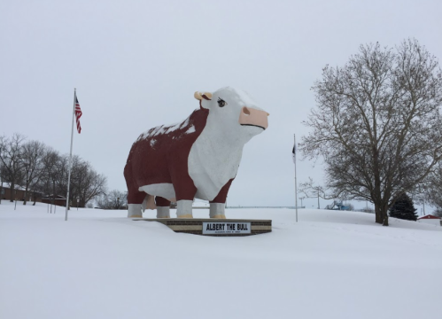 A large statue of a bull named Albert stands in a snowy landscape, with flags and trees in the background.