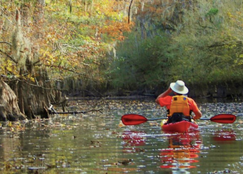 A person in a kayak paddles through a serene, tree-lined waterway with autumn foliage.