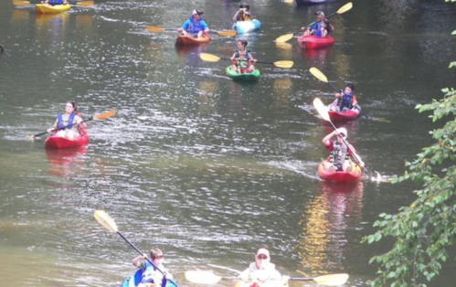 A group of people kayaking on a calm river, surrounded by greenery and colorful kayaks.