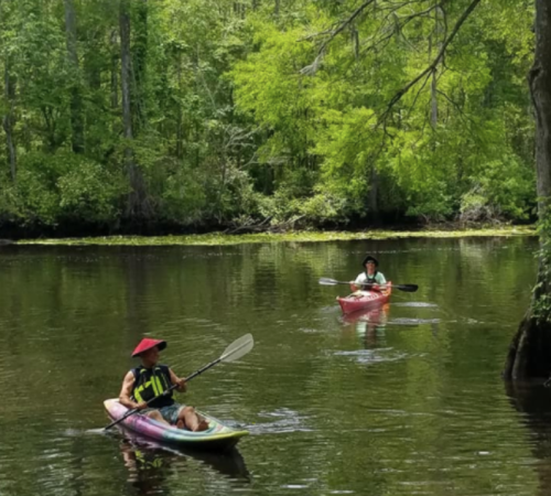 Two people kayaking on a calm river surrounded by lush green trees.