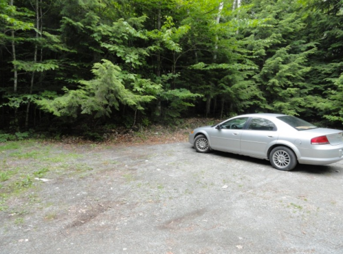 A silver car parked on a gravel area surrounded by dense green trees in a forested setting.