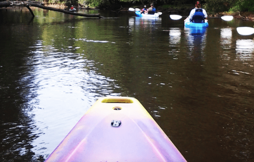 A view from a kayak on a calm river, with other kayakers paddling in the distance among lush greenery.
