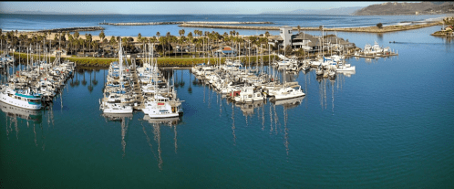 A scenic marina with numerous boats docked, surrounded by calm water and palm trees under a clear blue sky.