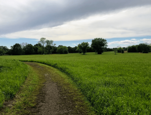 A winding gravel path through a lush green field under a cloudy sky, with trees in the background.