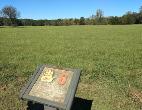 A grassy field with a sign marked "6" in the foreground, surrounded by trees under a clear blue sky.