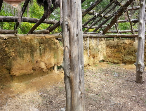 Interior of a rustic structure with exposed earth walls and wooden beams, surrounded by greenery.