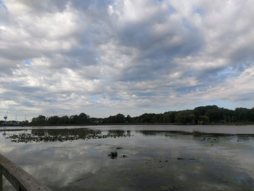 A serene lake scene with cloudy skies, reflecting water, and lush greenery along the shore.