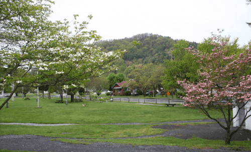A park with green grass, flowering trees, and a hill in the background on a cloudy day.