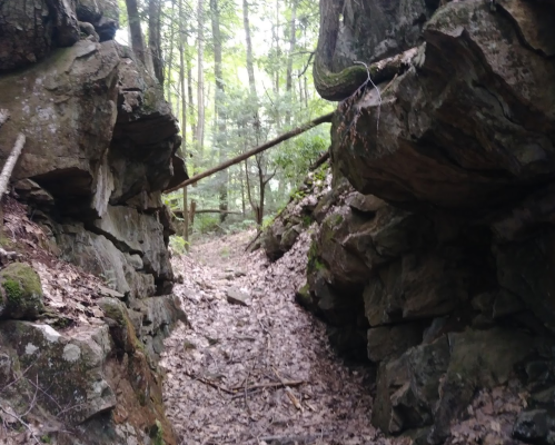 Narrow path between rocky formations in a forest, surrounded by trees and moss-covered ground.