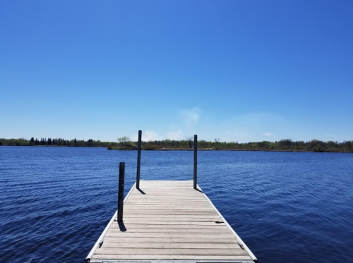 A wooden dock extends into a calm blue lake under a clear blue sky. Green trees line the distant shore.