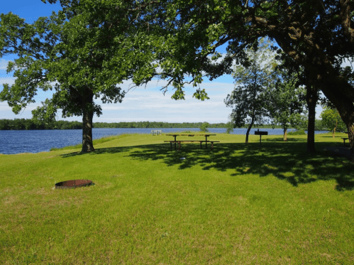 A serene park scene with green grass, trees, and a view of a calm lake under a clear blue sky.