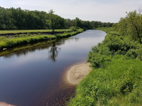A calm river flows through lush greenery, with sandy banks and trees lining the water's edge under a clear sky.