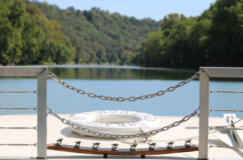 A lifebuoy rests on a boat's railing, overlooking a calm river surrounded by lush green trees.