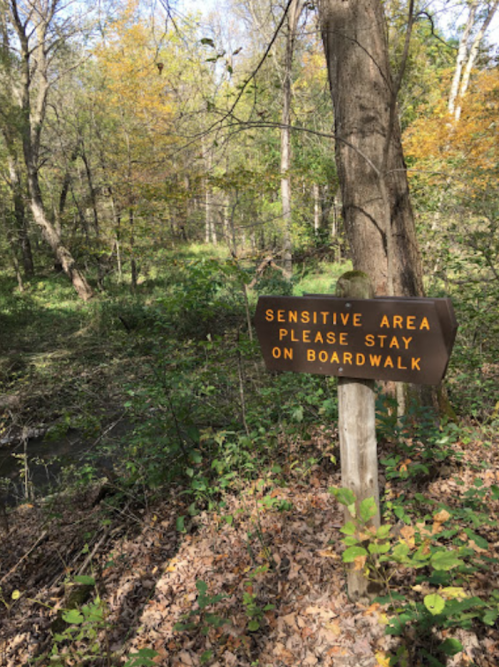 A wooden sign in a forested area reads "Sensitive Area Please Stay on Boardwalk," surrounded by trees and foliage.
