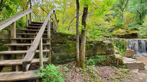 A wooden staircase leads up to a lush, green area near a small waterfall surrounded by trees and rocks.