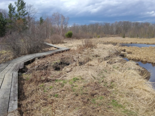 A wooden boardwalk leads through a grassy wetland area with sparse trees under a cloudy sky.