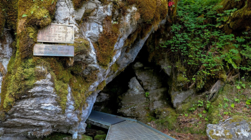 A moss-covered rock formation with a wooden plaque beside a dark cave entrance, surrounded by lush greenery.