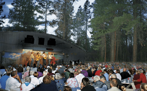 A large audience enjoys a live music performance outdoors, surrounded by trees and a painted backdrop.