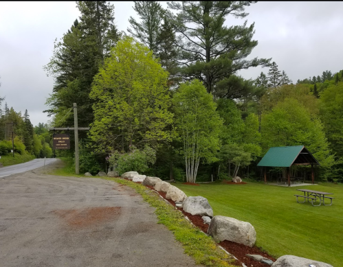 A scenic view of a road with greenery, rocks, and a picnic area under a shelter in a forested area.