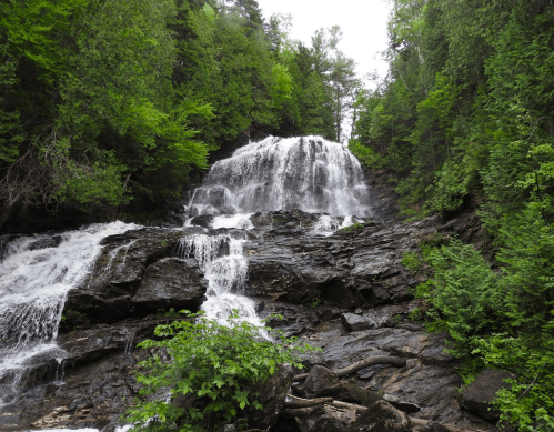 A cascading waterfall flows over rocky terrain, surrounded by lush green trees and foliage.