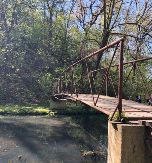 A rustic metal bridge spans a calm stream, surrounded by lush greenery and trees under a clear blue sky.