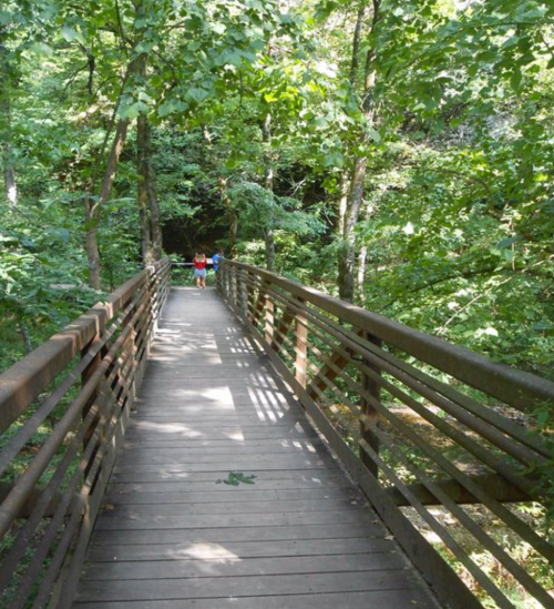 A wooden bridge leads through a lush green forest, with two people walking in the distance.